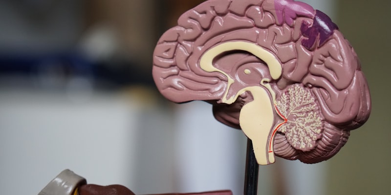 Medical professionals in different specializations