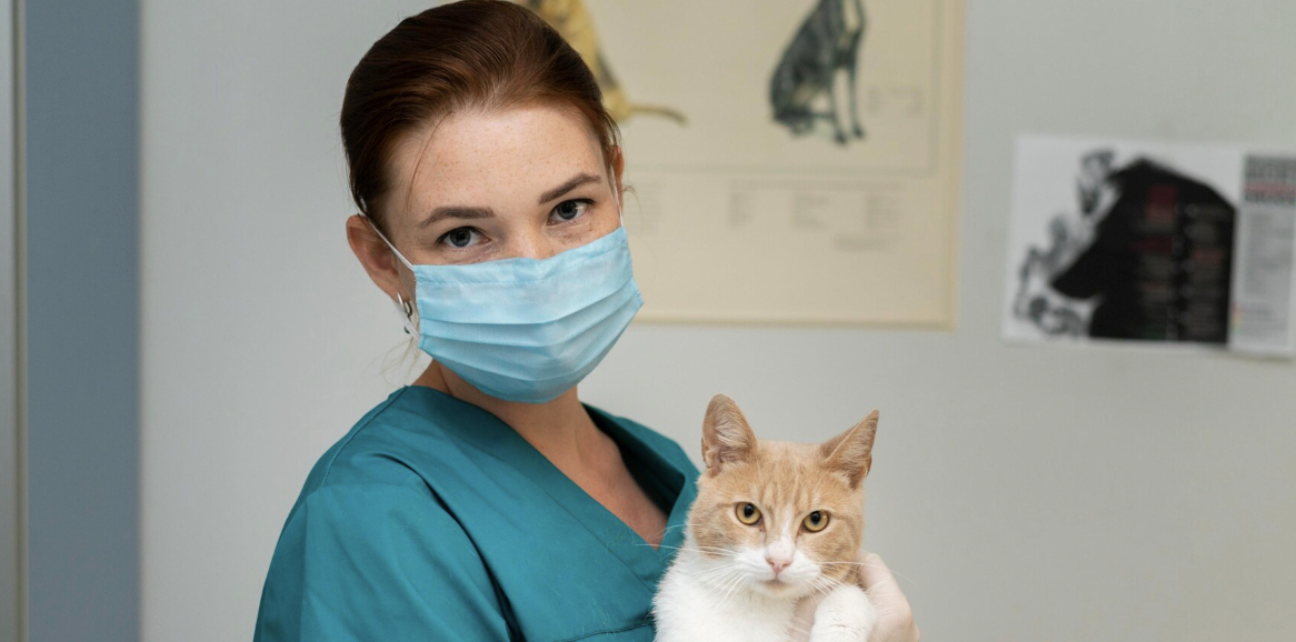Veterinary